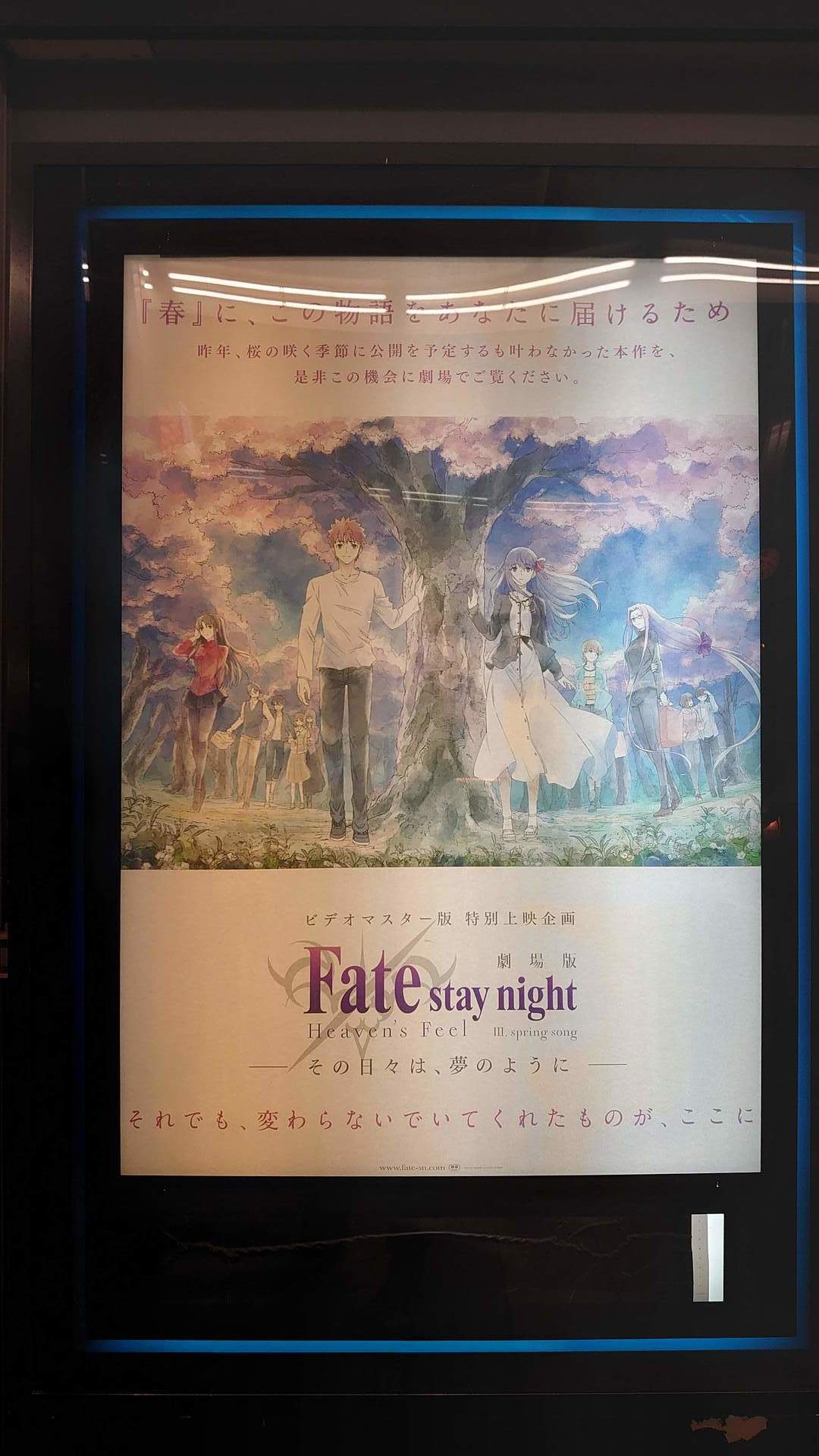 ビデオマスター版 劇場版 ｆａｔｅ ｓｔａｙ ｎｉｇｈｔ ｈｅａｖｅｎ ｓ ｆｅｅｌ ｓｐｒｉｎℊ ｓｏｎｇ その日々は 夢のように ねぼけた日々